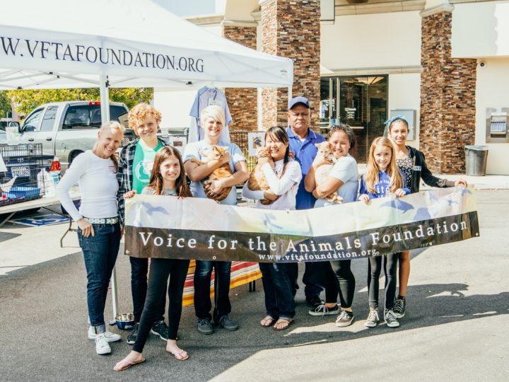 Voice For The Animals