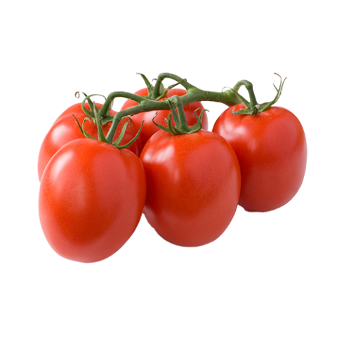 roma-tomatoes
