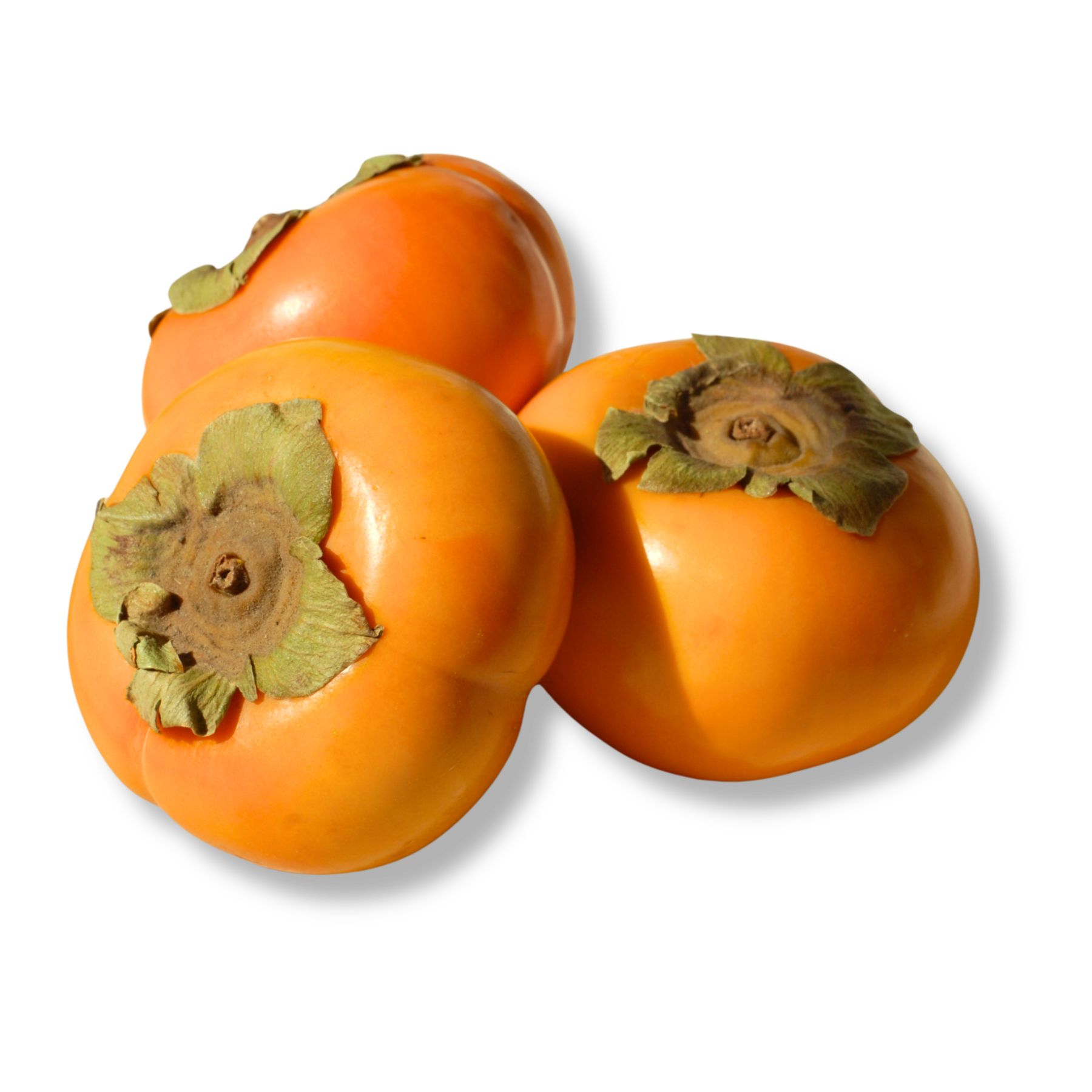 Fuyu Persimmon