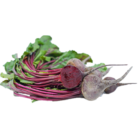 red beet bunch