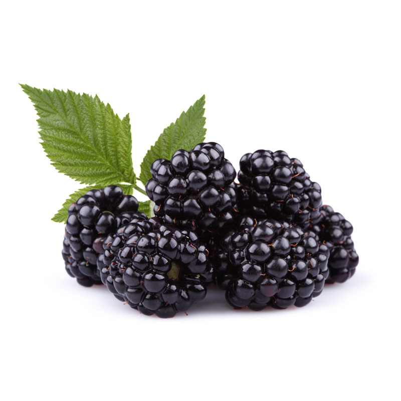 blackberries