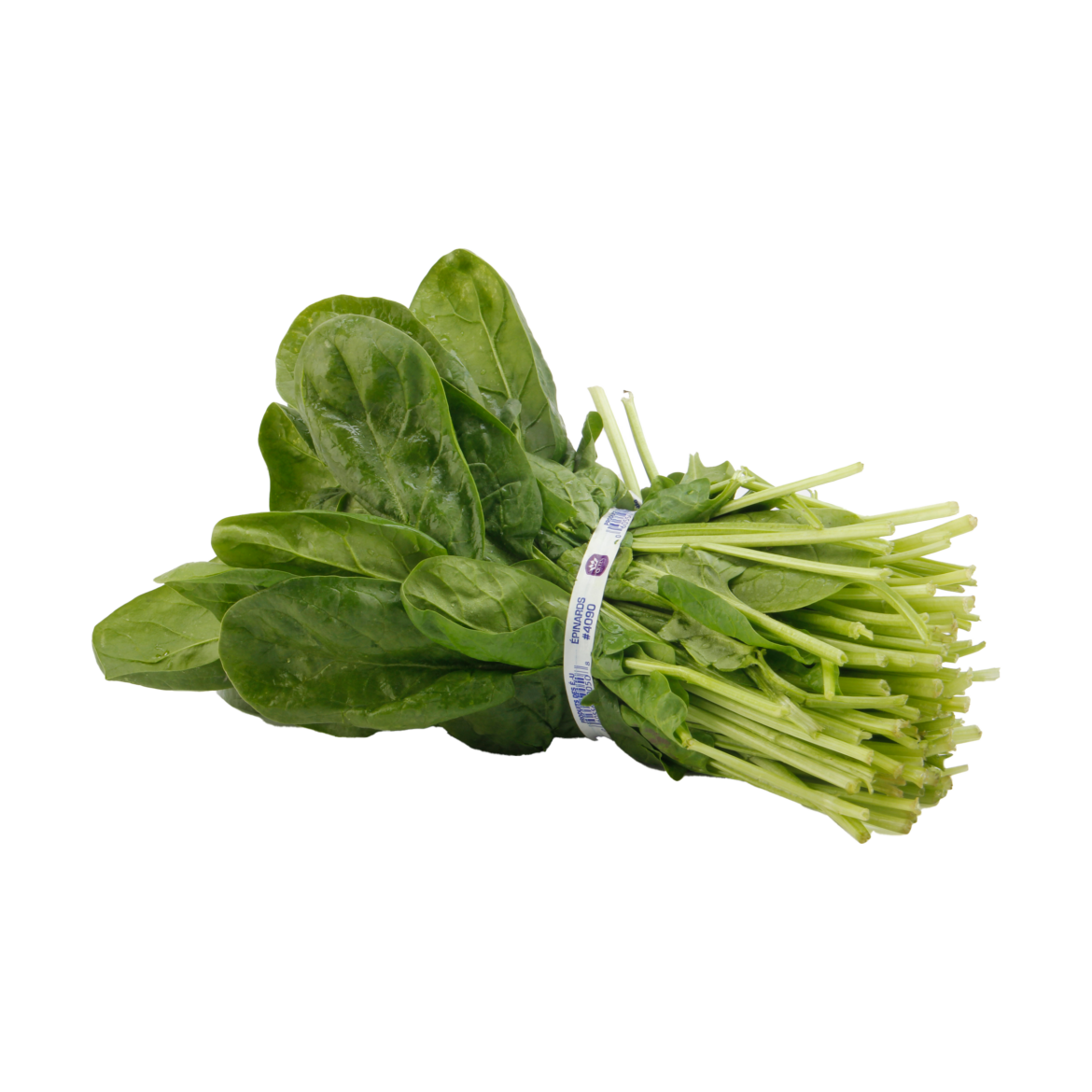 spinach_bunch-TP
