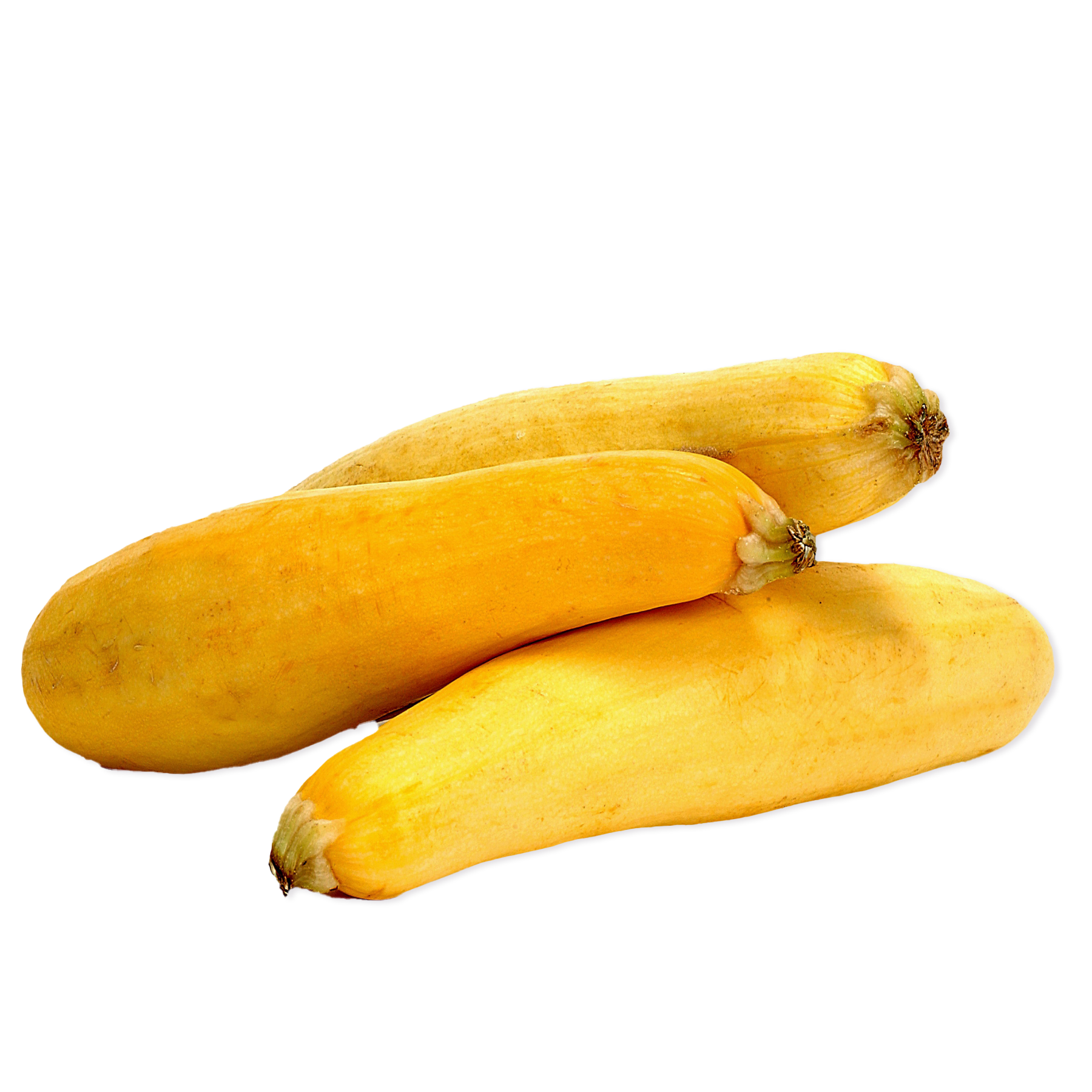 Yellow Squash