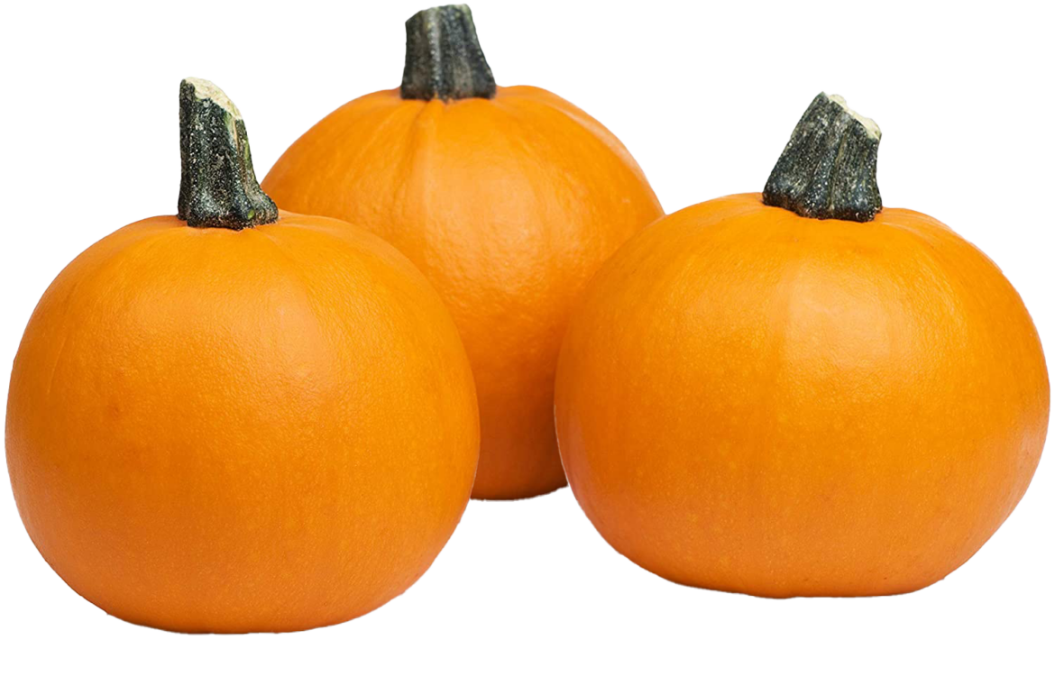 sugar pie pumpkins squash