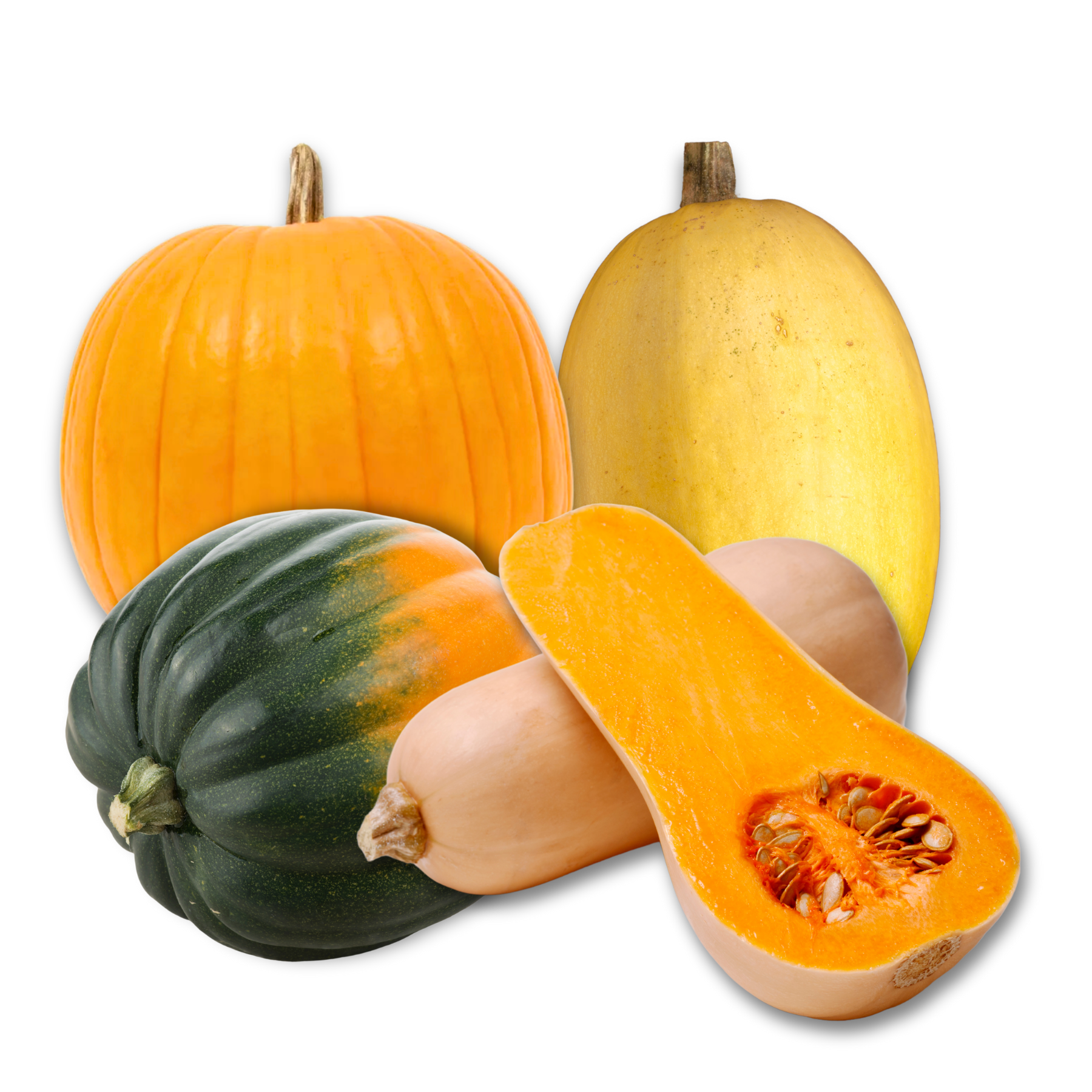 Mixed_Squash