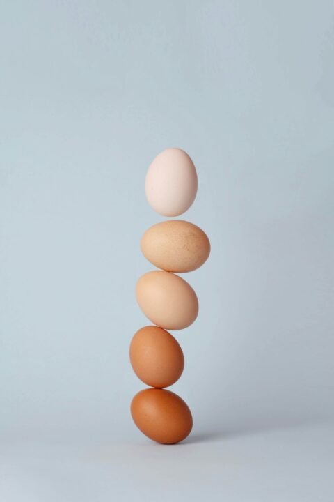 Egg Labels