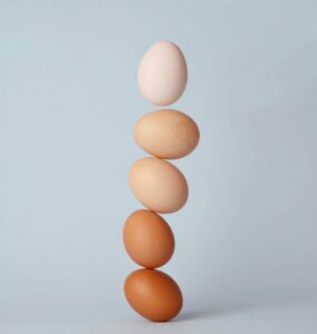 Egg Labels