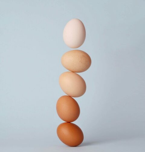 Egg Labels