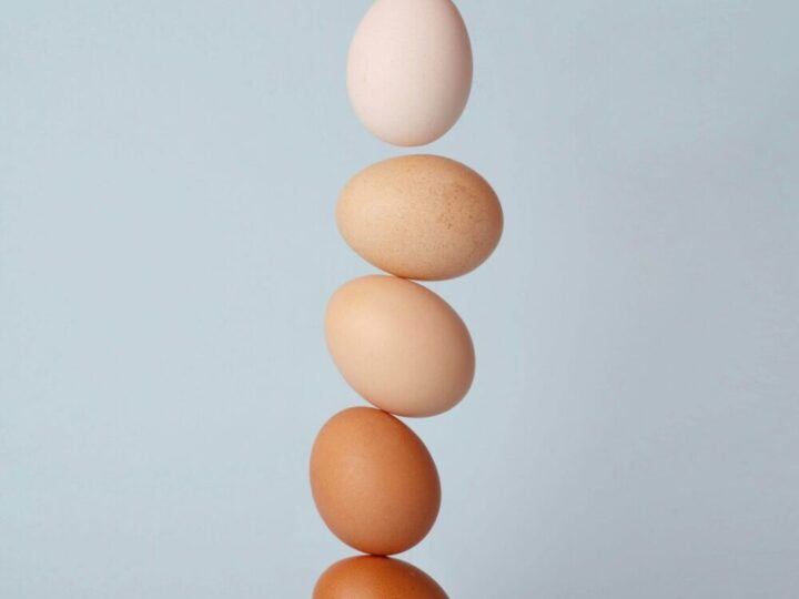 Cracking The Code on Egg Labels