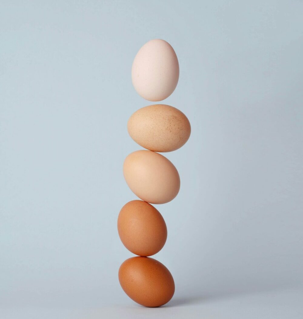 Egg Labels