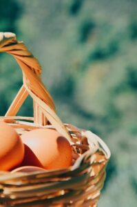 basket of egg