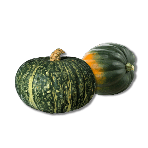 Winter Squash Assorted