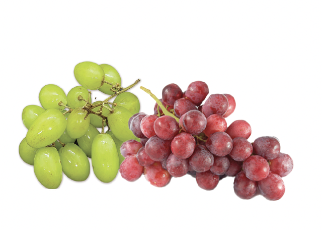 red and green grapes