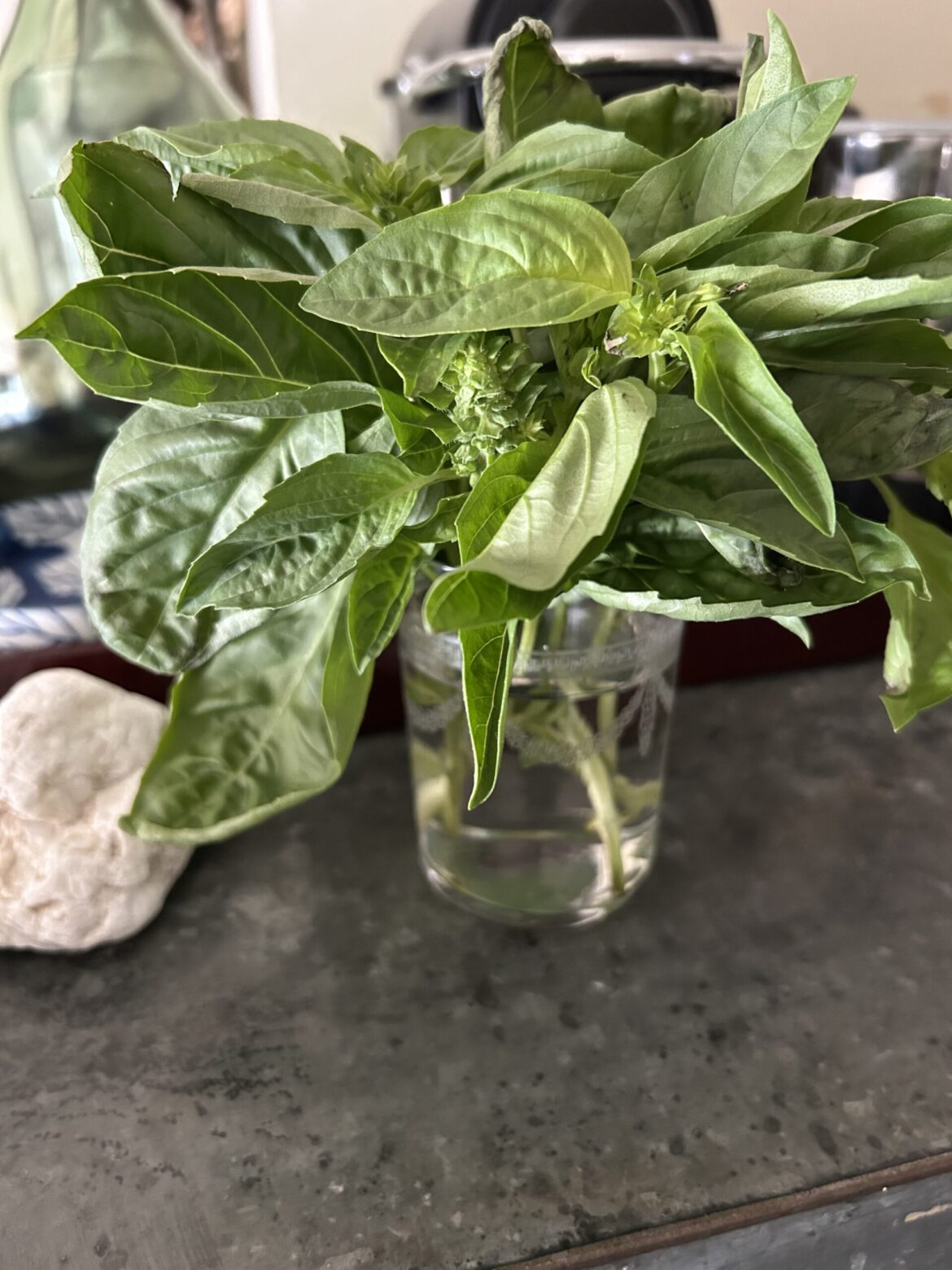 Herbs